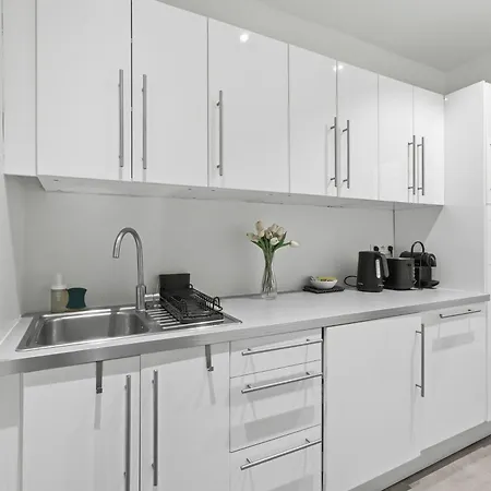 Sophisticated 1br Near Opera And Champs-elysees Appartement