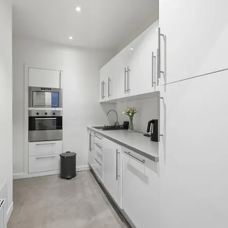 Sophisticated 1br Near Opera And Champs-elysees